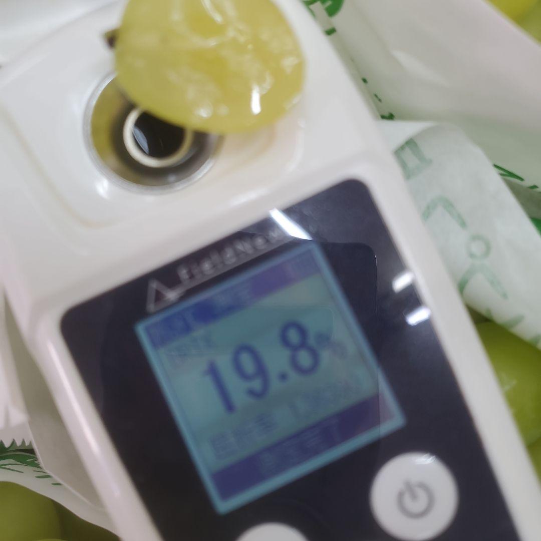 6️⃣ 山梨県産 シャインマスカット ８房入り 箱込み5.2キロ