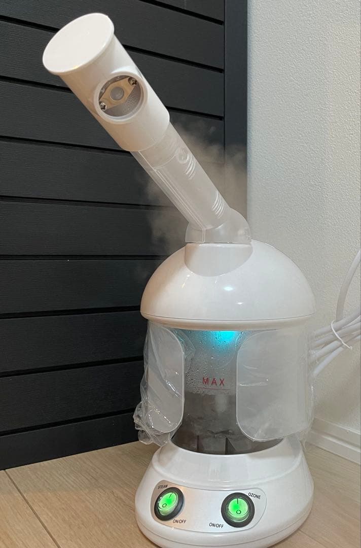 スチーマー、クリーナー、ハケセット