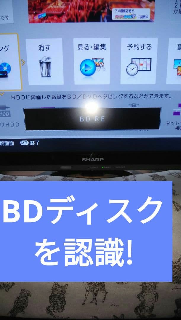 2022年モデルシャープ2B-C10DW1/二番組同録・4K再生可/実動/新リモ