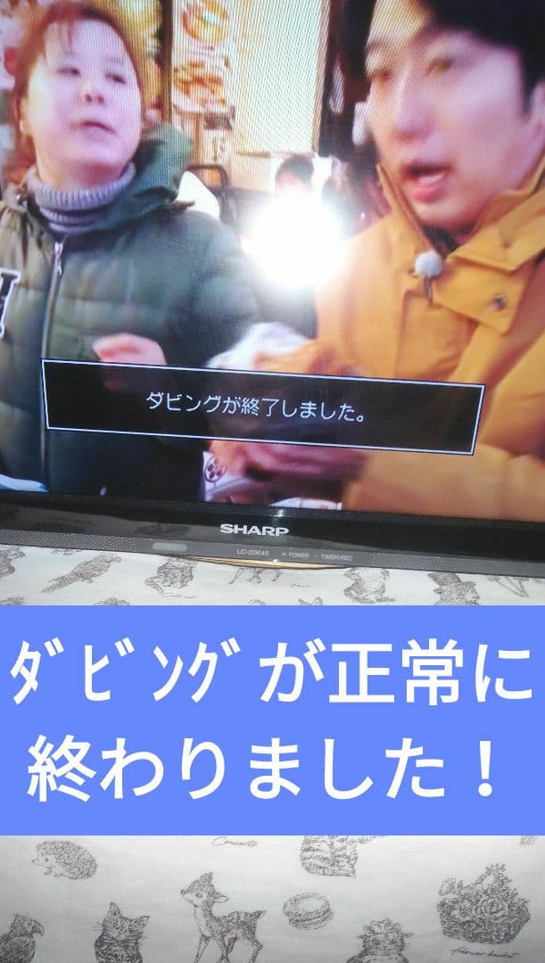 2022年モデルシャープ2B-C10DW1/二番組同録・4K再生可/実動/新リモ