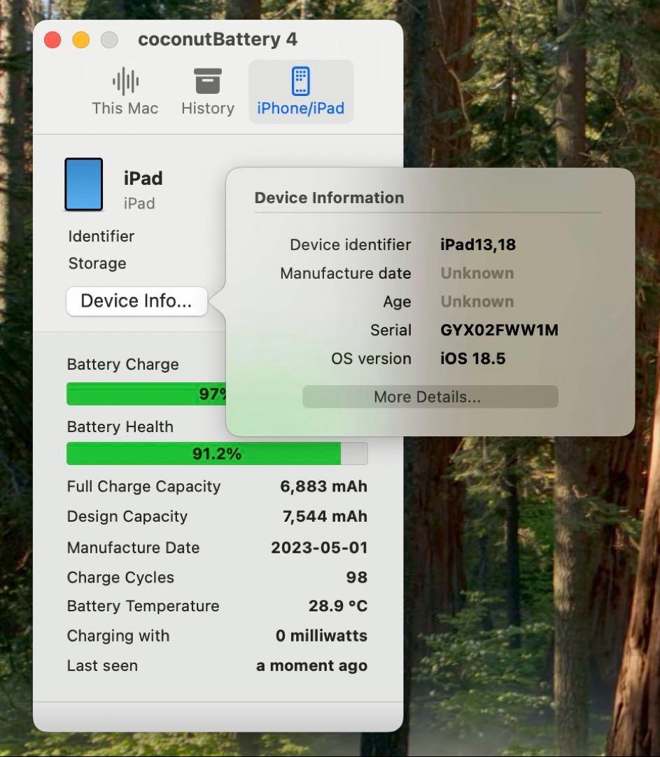 iPad 10世代 256GB ブルーWi-Fi Apple pencilセット