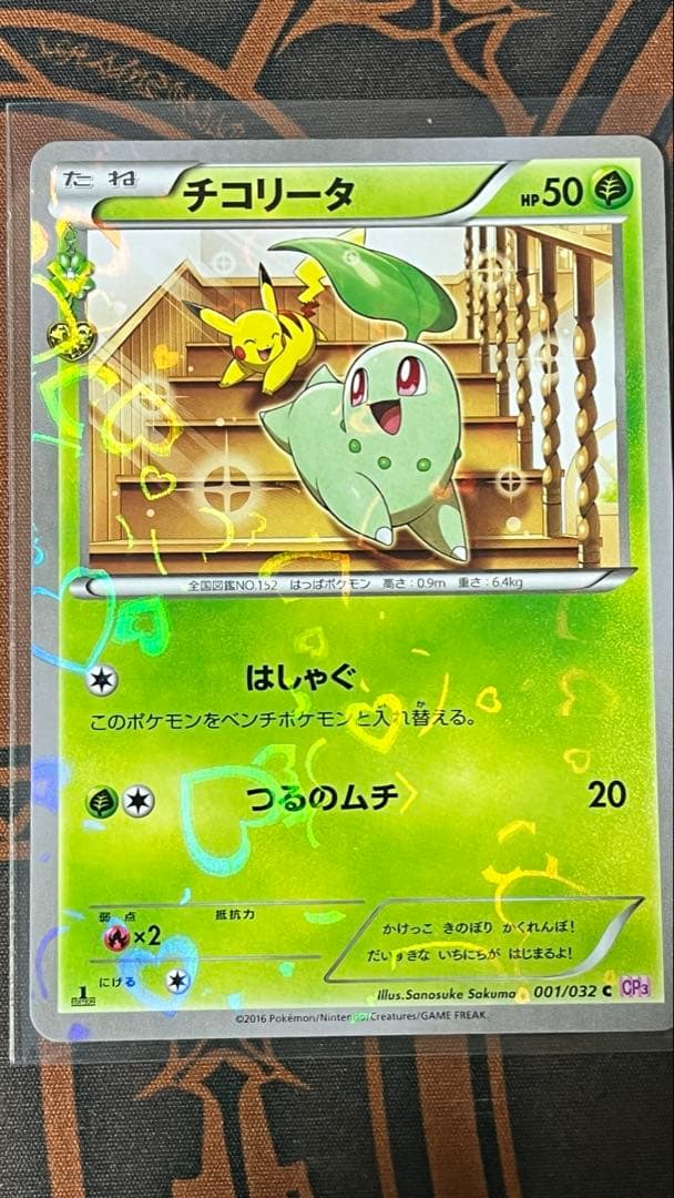 チコリータ cp3 3枚