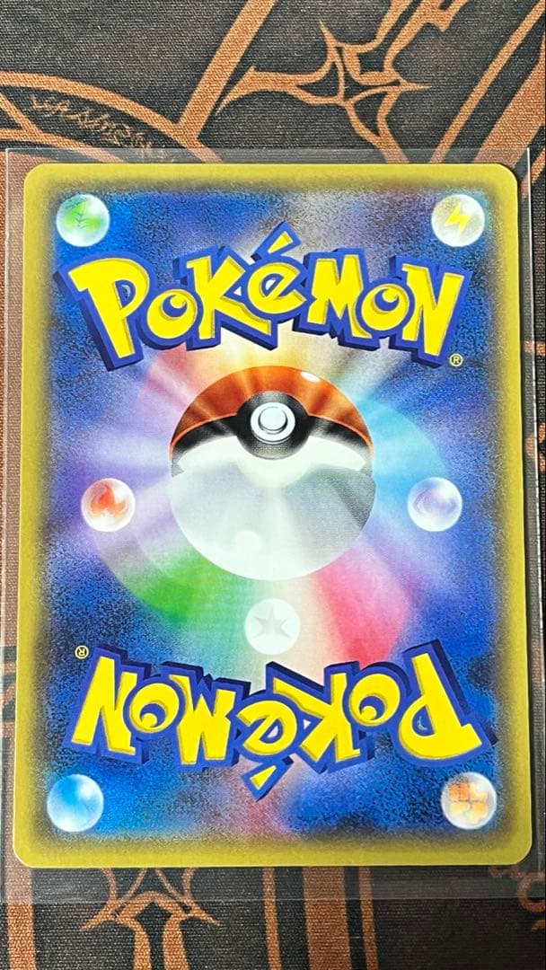 チコリータ cp3 3枚