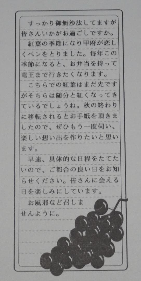 ★東芝製ワープロ★RUPO JW-8020★取扱説明書付★動作保証あり★