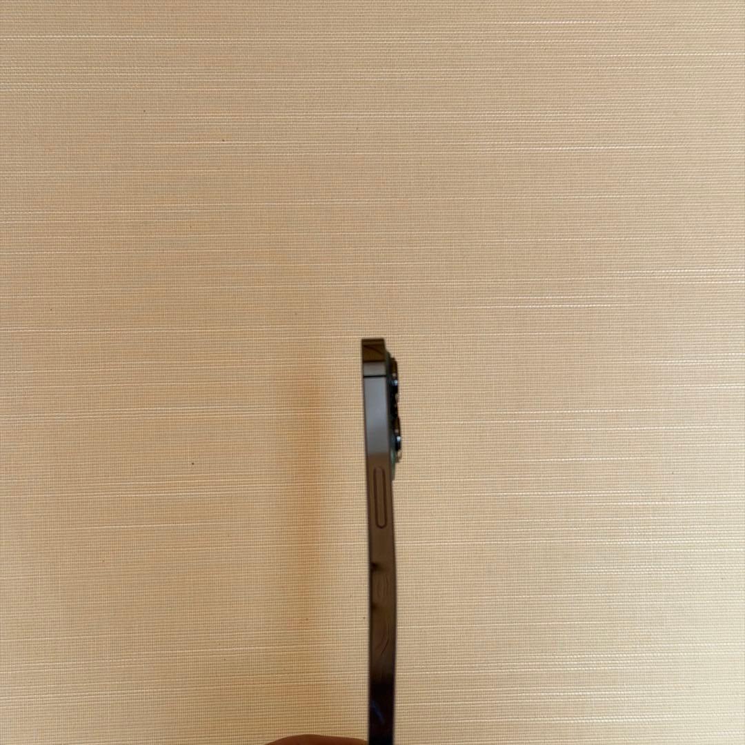 Apple iPhone 13 Pro 128GB 本体　ジャンク