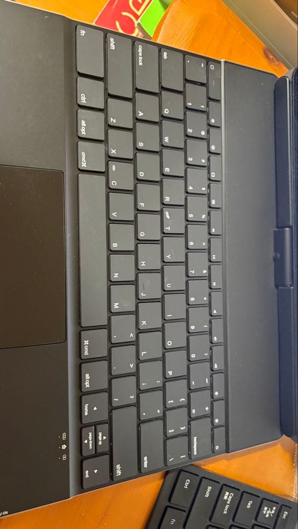 iPad Pro (12.9インチ) 第5世代 本体