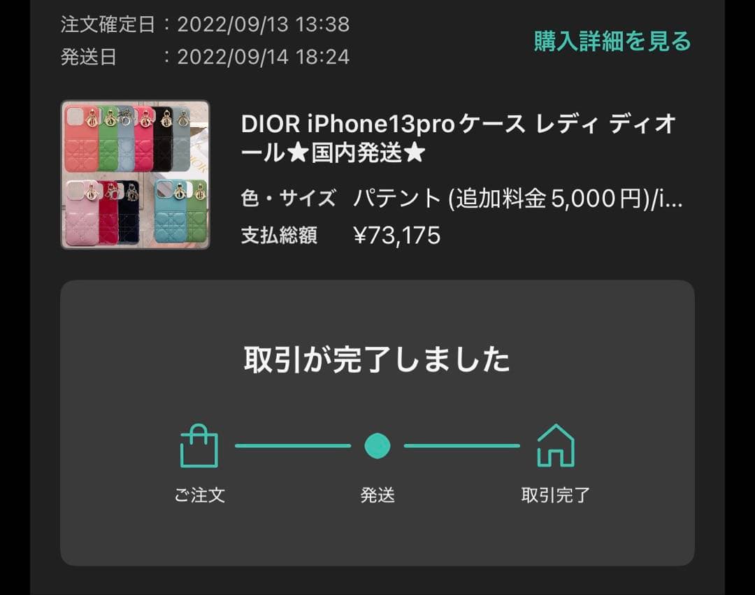 Dior ブラック パテントiPhoneケース13プロ