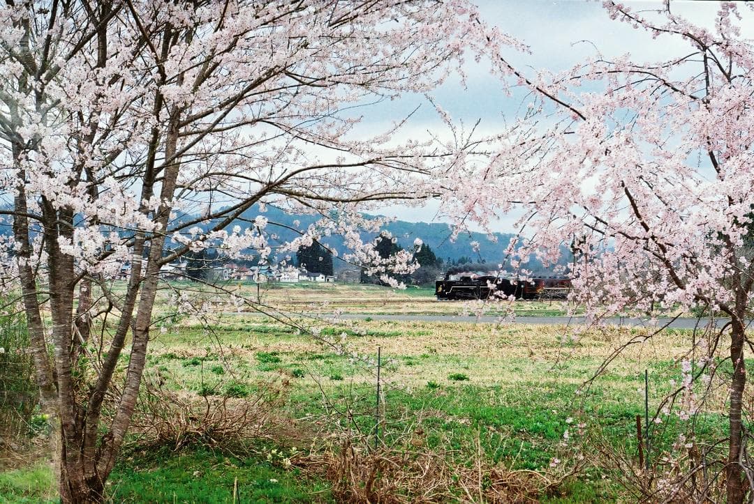 【実写確認整備品】EXA1b／ペンタコン50㎜f1.8・MCPF・角型フード付き