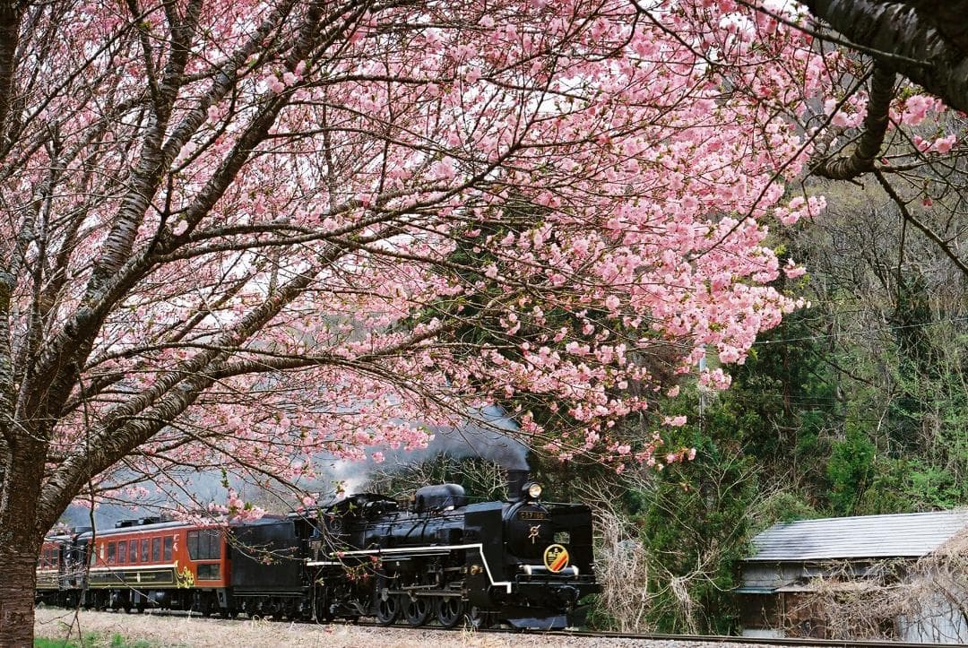 【実写確認整備品】EXA1b／ペンタコン50㎜f1.8・MCPF・角型フード付き