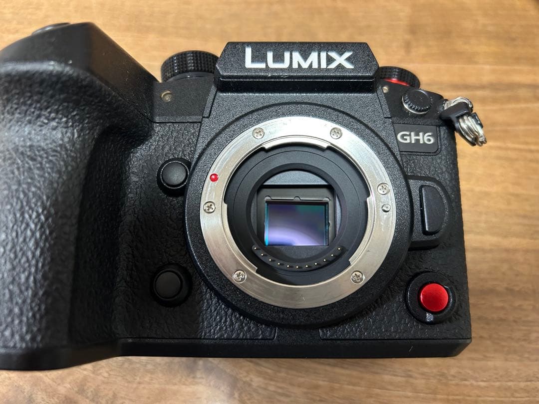 LUMIX GH6 ミラーレスカメラ 本体 (予備バッテリー1個付き)