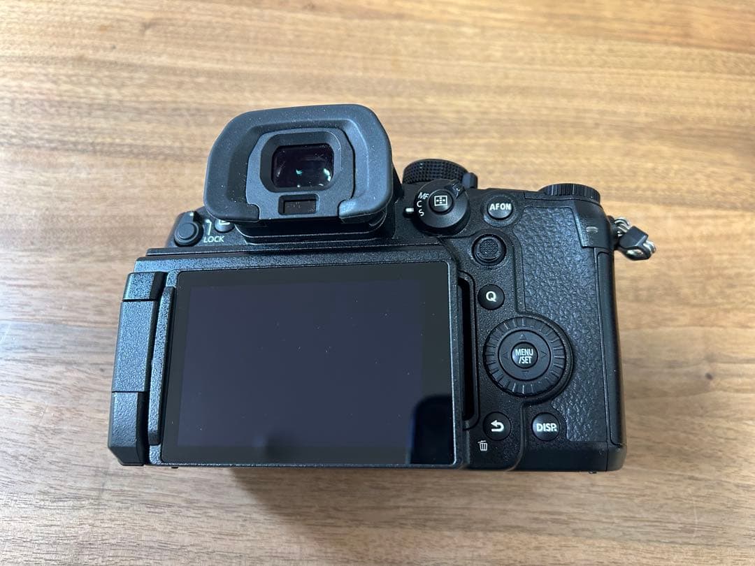 LUMIX GH6 ミラーレスカメラ 本体 (予備バッテリー1個付き)