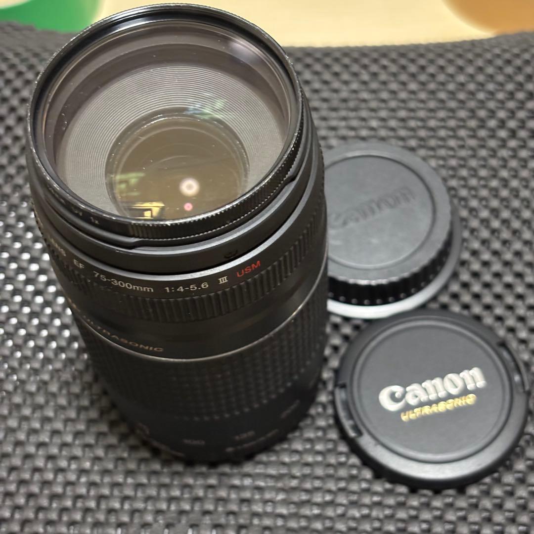 Canon EF 75-300mm USM 超望遠レンズ　canon純正レンズ