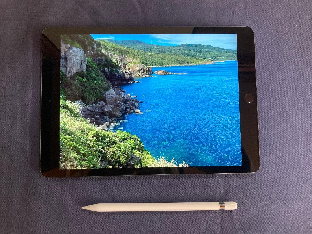 iPad 第7世代 本体 + Apple Pencil