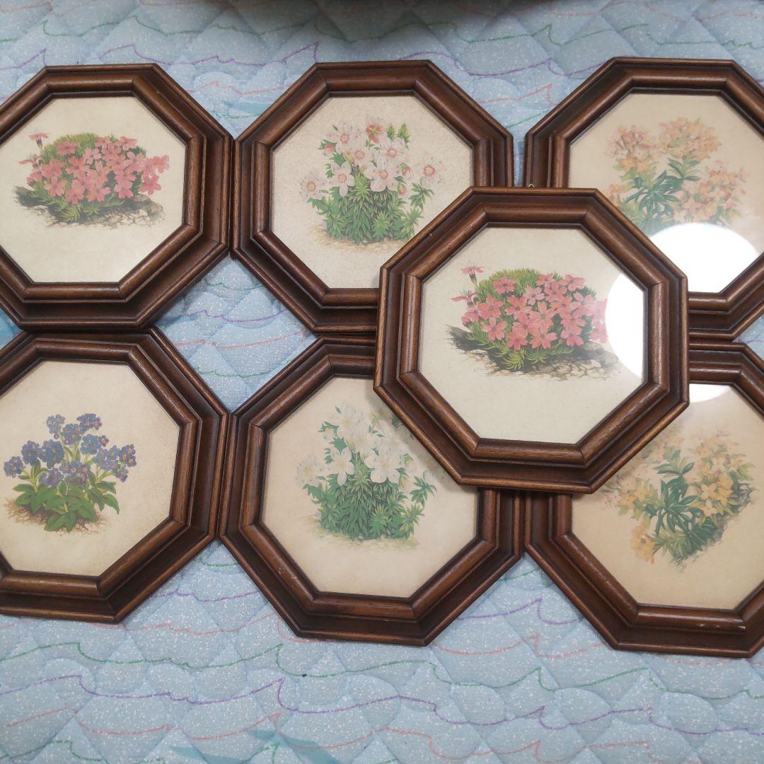 値下げ　ボタニカルアート 　六角フレーム 7点セット！ イタリア製