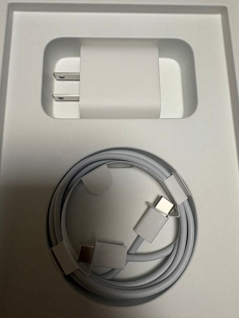 iPad mini 第6世代　Wi-Fi＋cellular 256GB