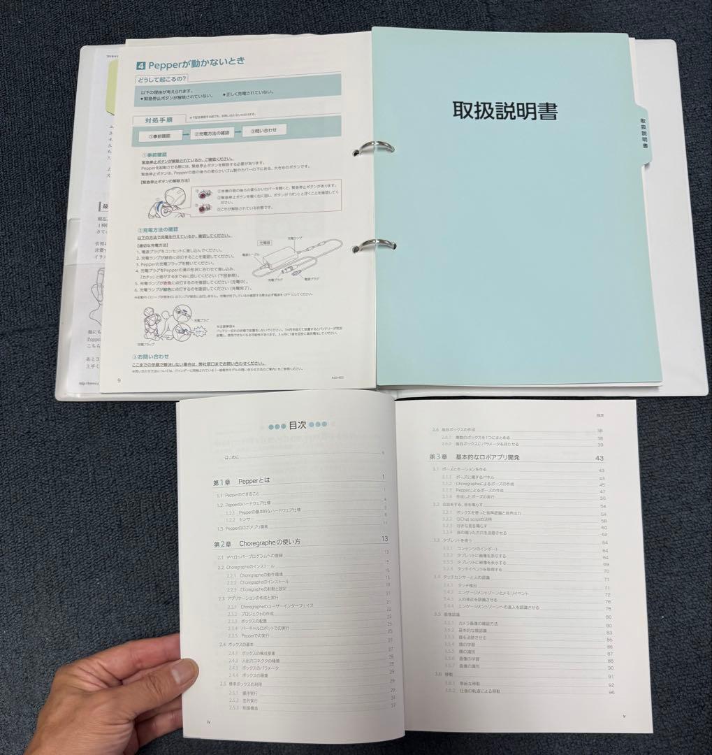 て*え様 ソフトバンク ペッパーくん　Pepper