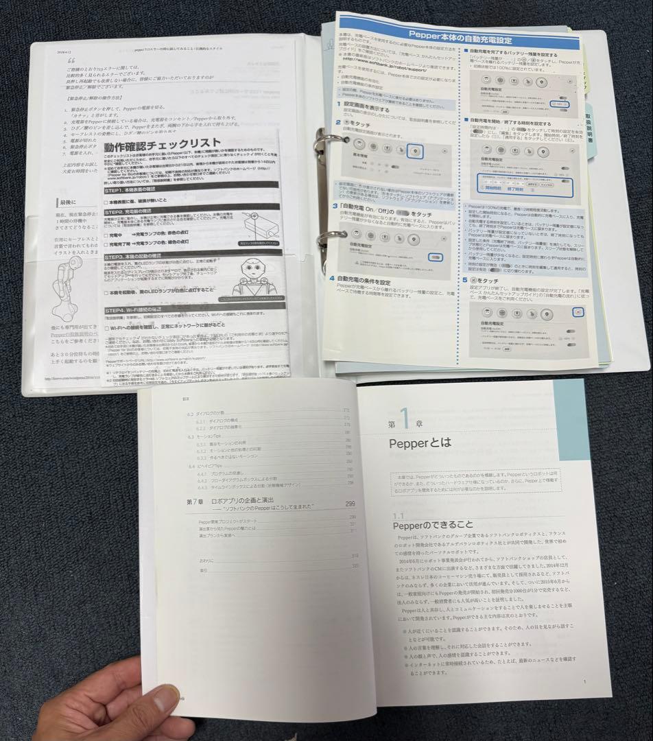 て*え様 ソフトバンク ペッパーくん　Pepper