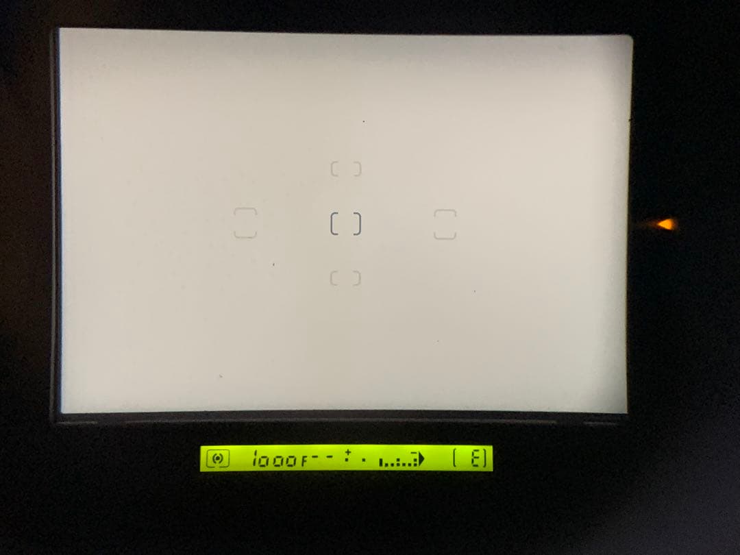 フィルムカメラ NIKON F5 MF-28