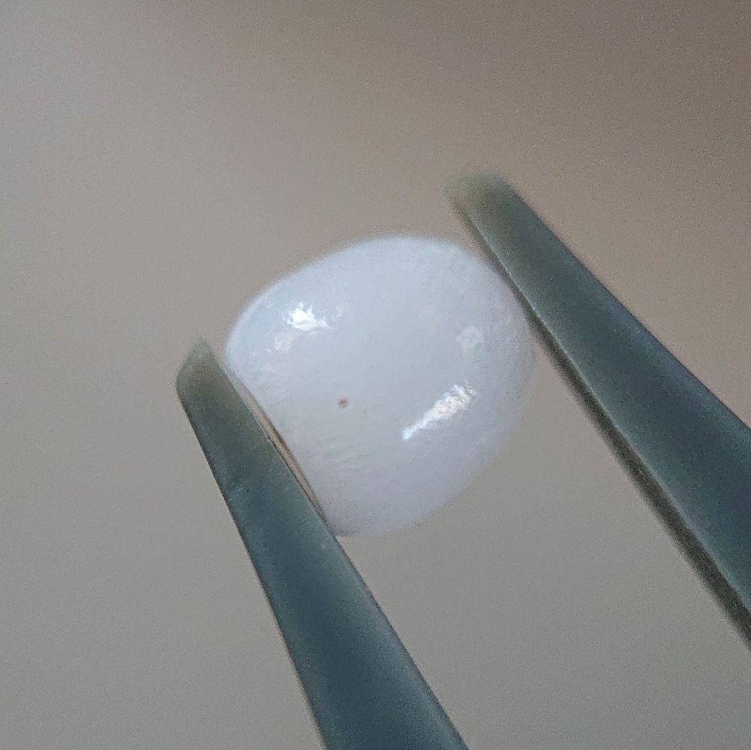 天然クラムパール／トリダクナパール（約1.9ct）