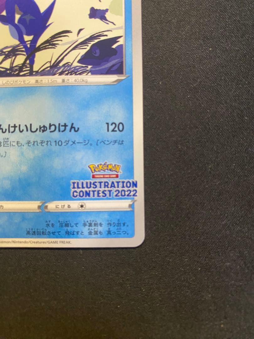 【24時間以内発送】ゲッコウガ2022イラストレーションコンテスト