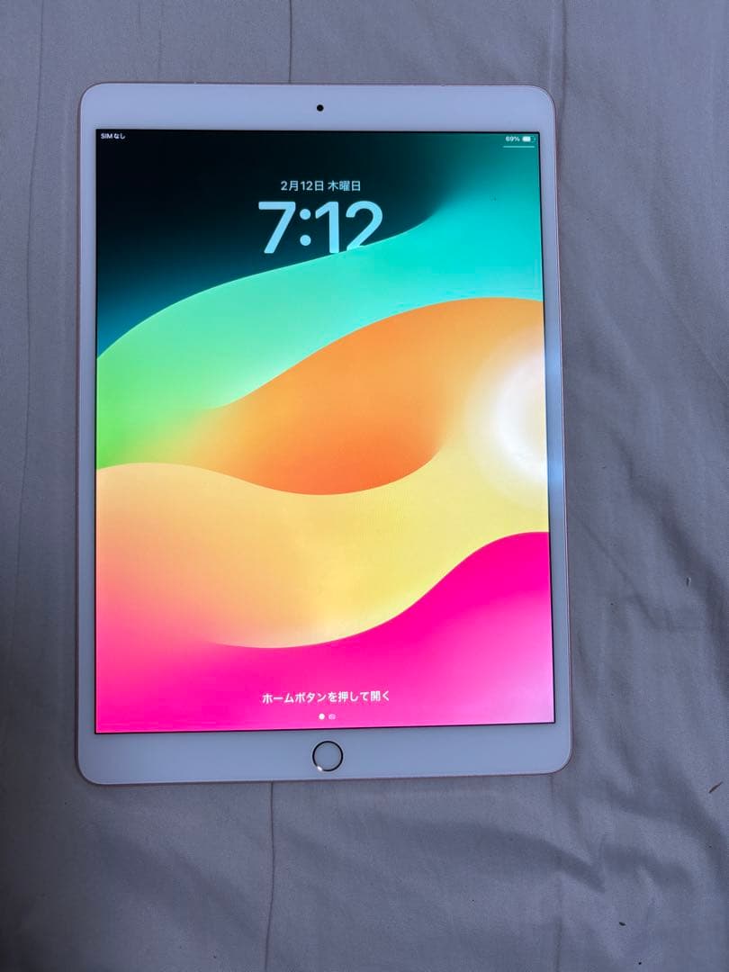 Apple iPad pro 10.5 64gb バテッリー容量100%