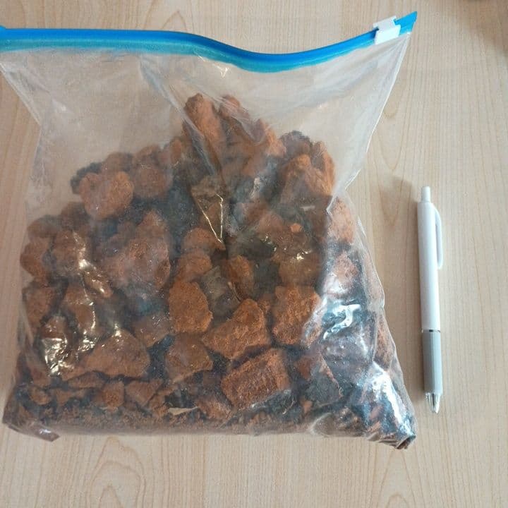 カバノアナタケ