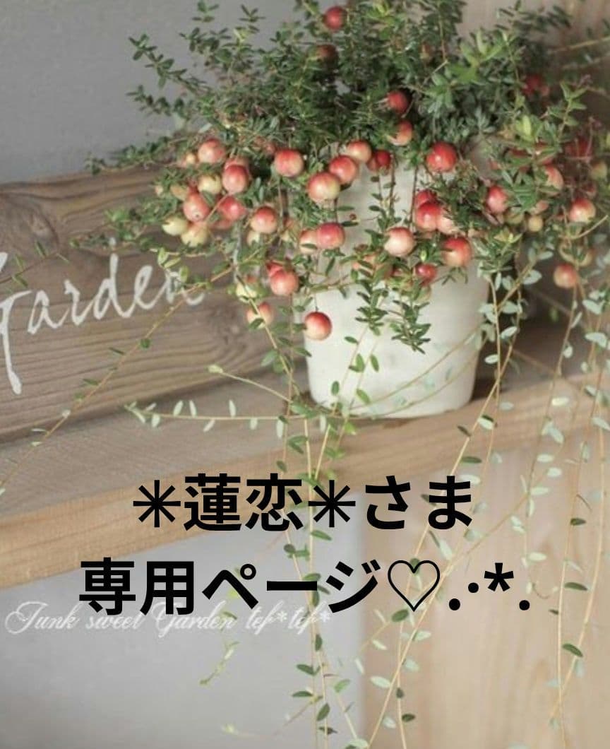 ✳︎蓮恋✳︎さま専用ページ♡.·*.ベンチチェスト