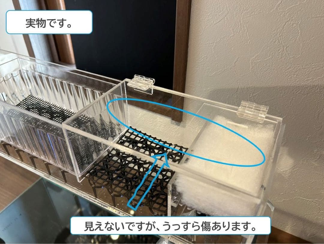 【格安】上部濾過アクアリウム水槽　アクアポニックス（観葉植物）仕様