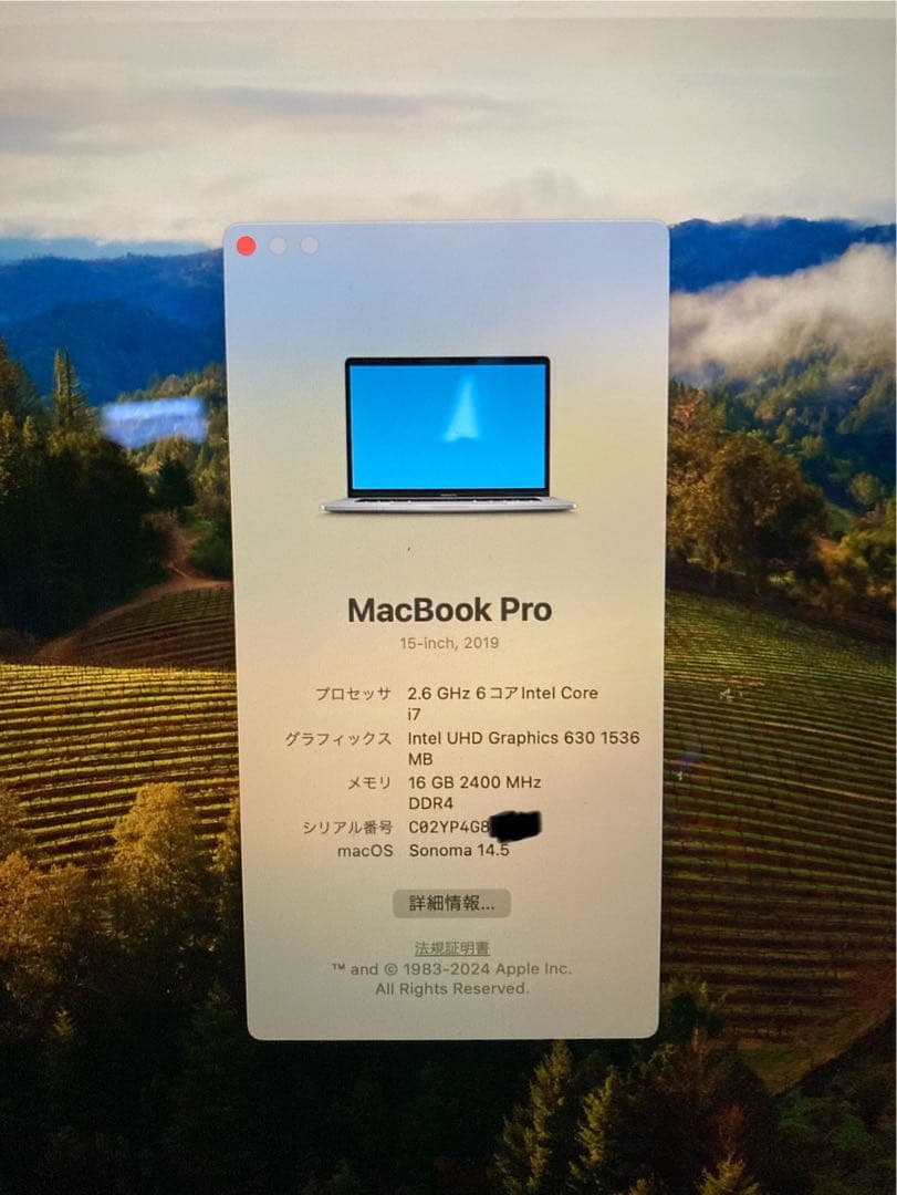 D*n様 【初期化済み】MacBook Pro 15-inch 2019 / i