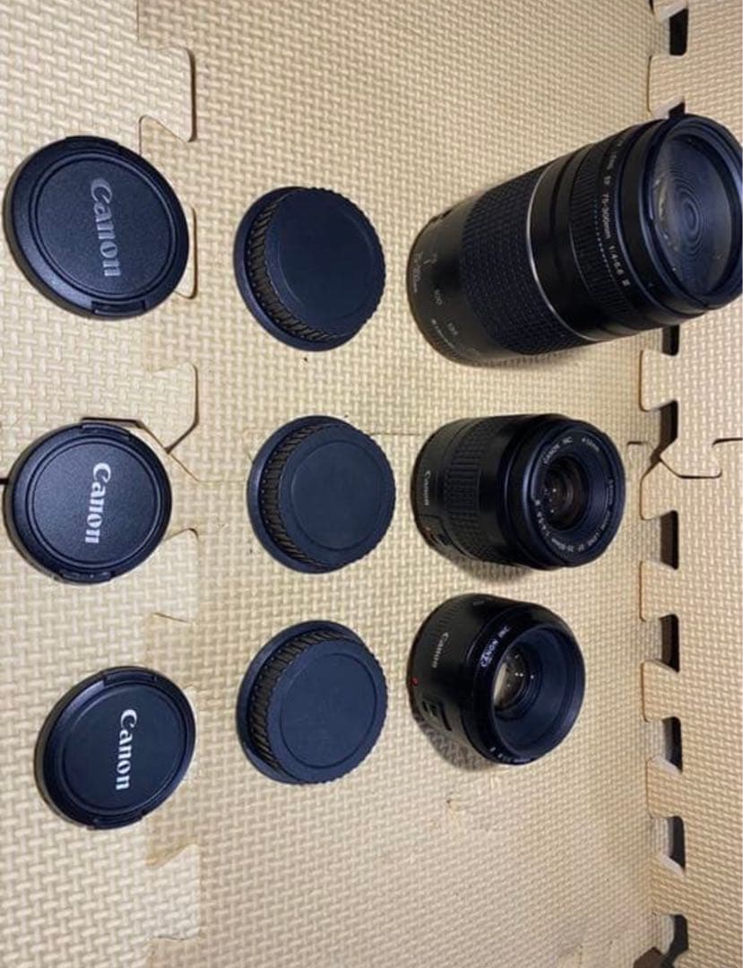 Canon EOS 9000D レンズセット