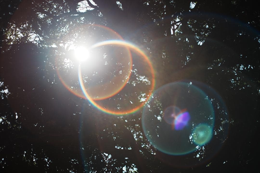 オールドレンズはここから Super Takumar 55mm F1.8 998