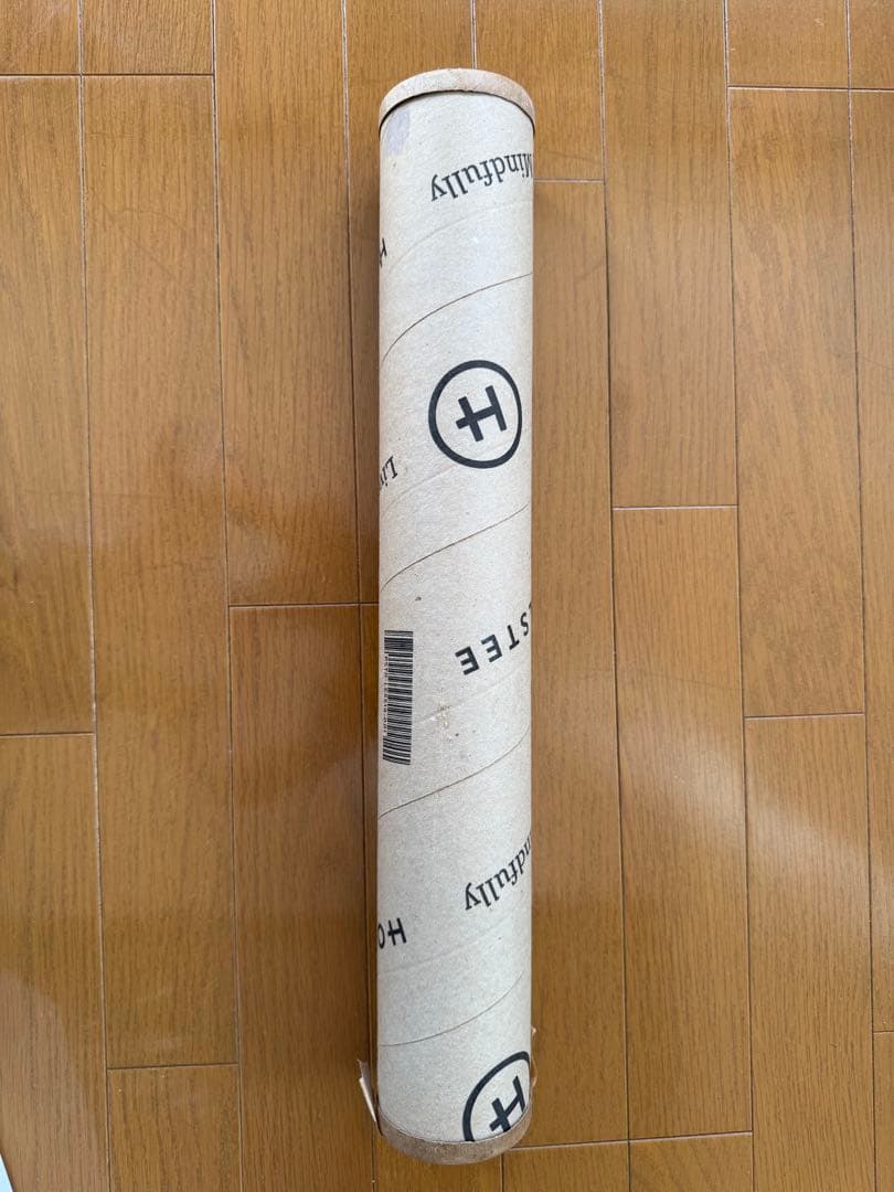 HOLSTEE ディーターラムス ポスター BRAUN TP 1