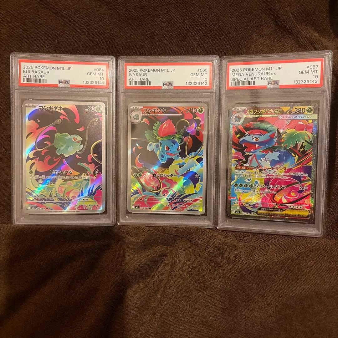 メガフシギバナex SAR PSA10 3連番