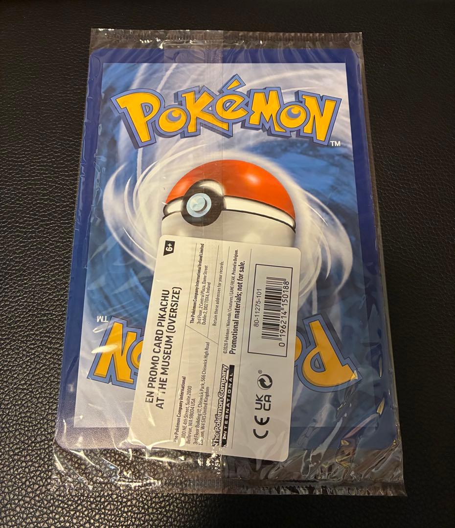 Pikachu at the Museum ピカチュウ ロンドン自然史博物館➓