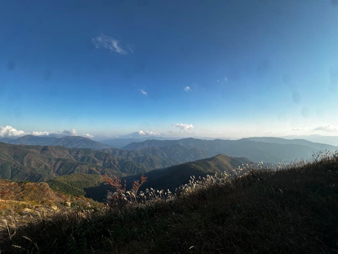 iPhone 14 Pro 256GB【超広角のみ訳あり・普段使い支障なし】