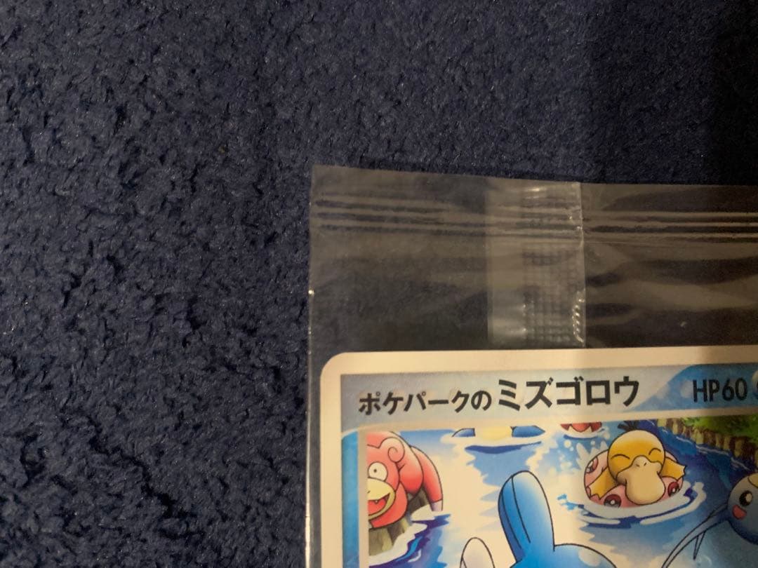 n*a様 未開封ポケモンカード ミズゴロウ ポケパーク　HP60 048/PCG