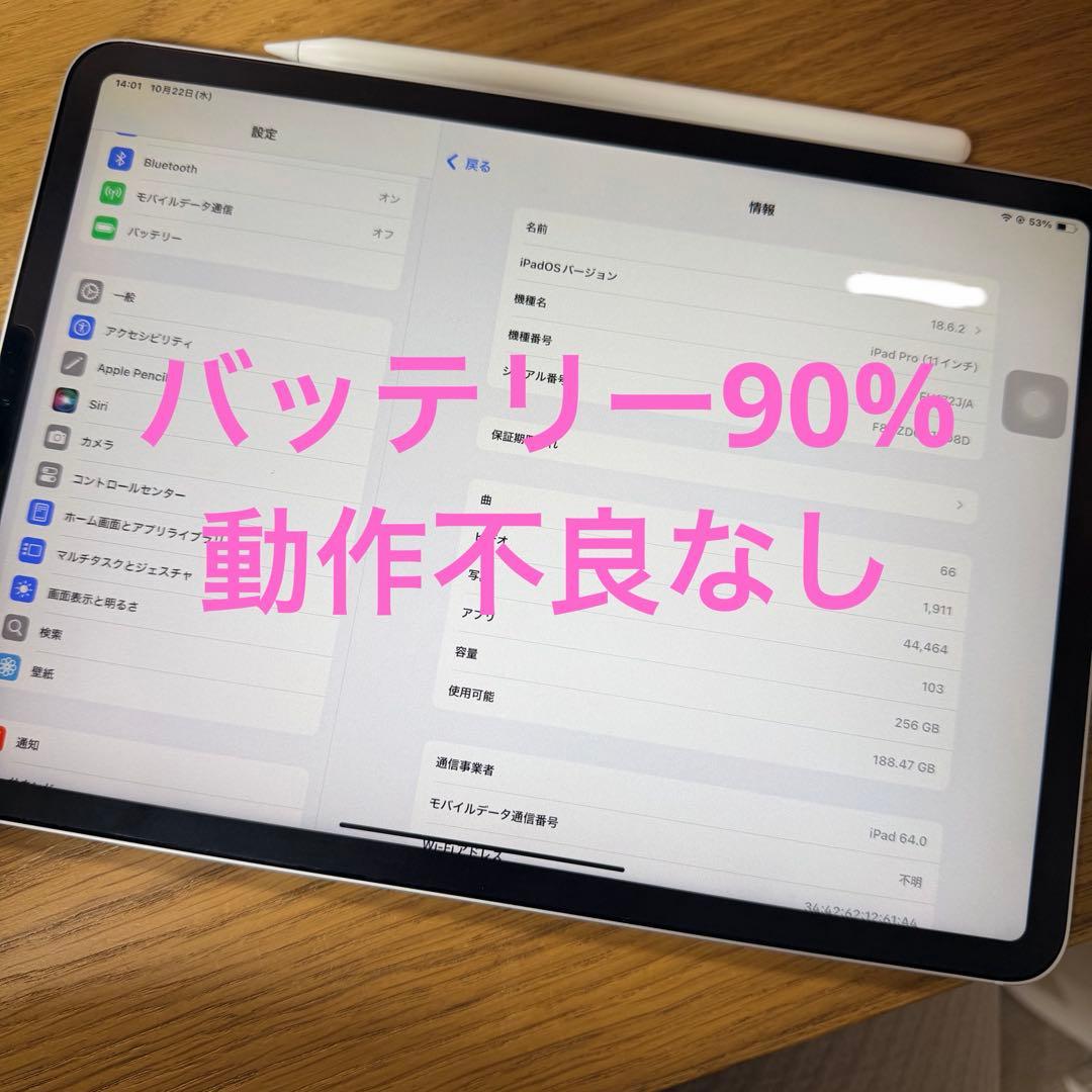 iPad Pro11 第1世代 256G cellular 11inch