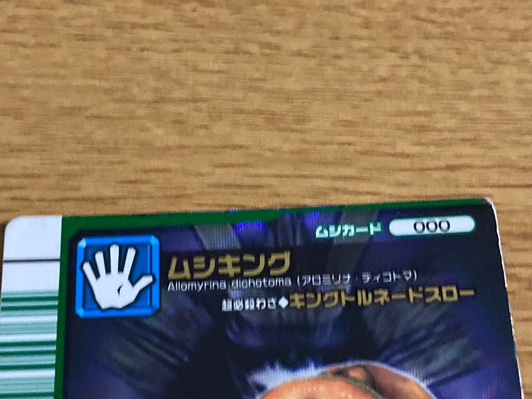 甲虫王者ムシキング　2007 カード5枚