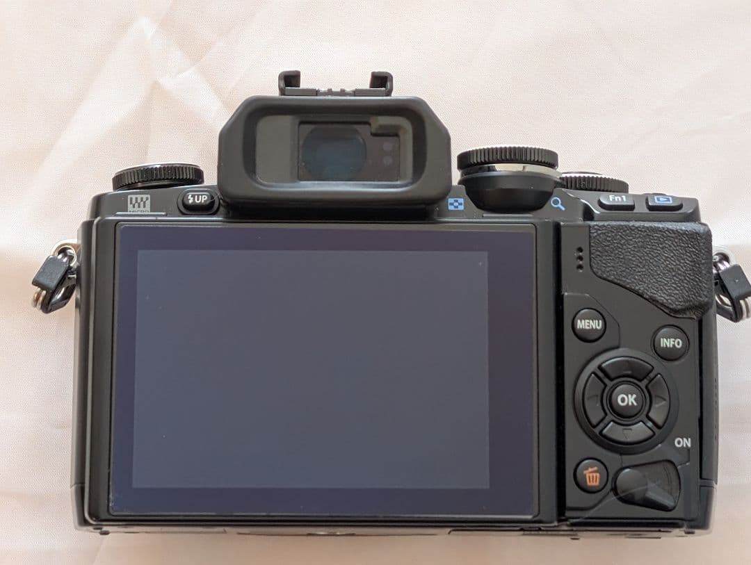 OLYMPUS OM-D E-M10 Wズームレンズキット