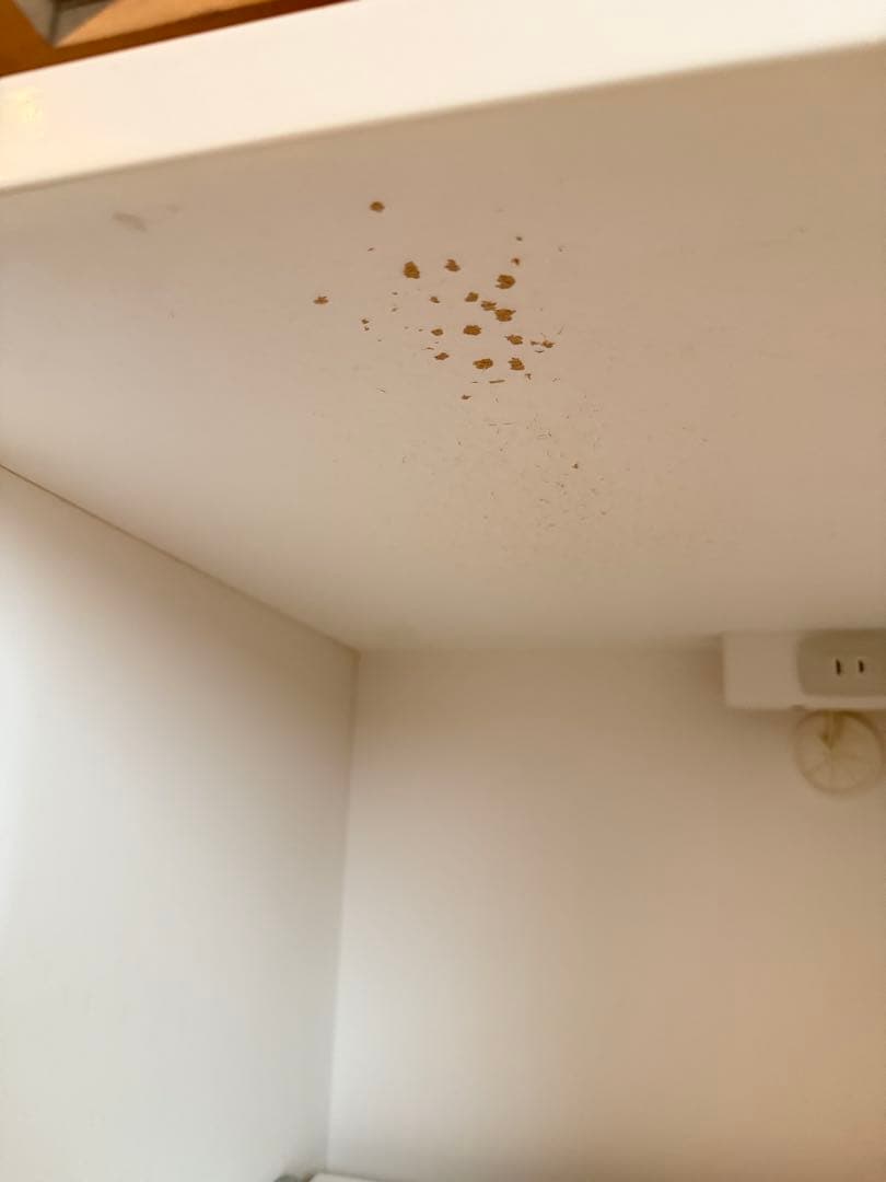 NITORI キッチンカウンター レンジボード 食器棚 ガラス板 ホワイト 傷有