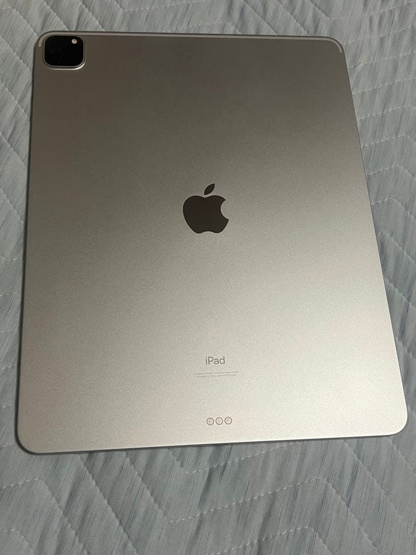 iPad Pro (第5世代) 12.9インチ シルバー 256GB