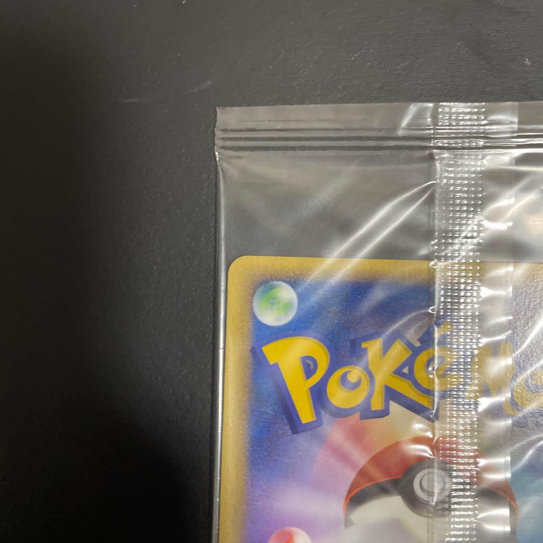 スイクン　ポケパーク 未開封