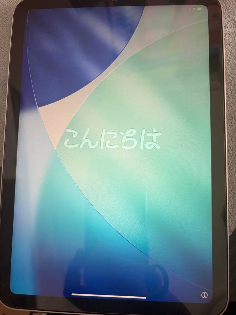 256gb iPad mini6 Wi-Fiモデル　最終金額