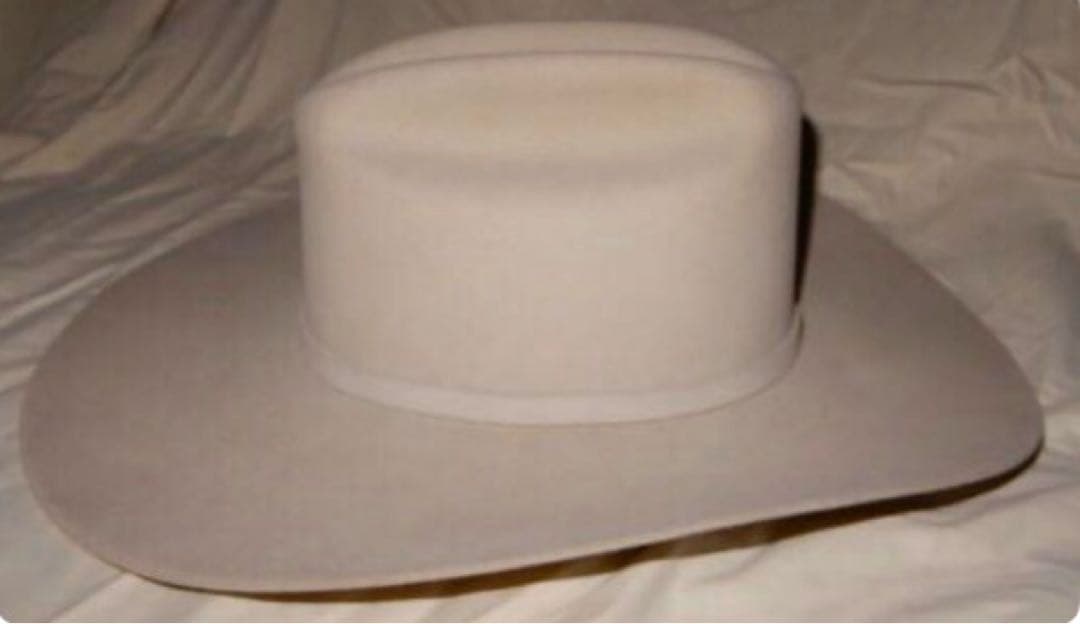 ステットソン　ハット　stetson
