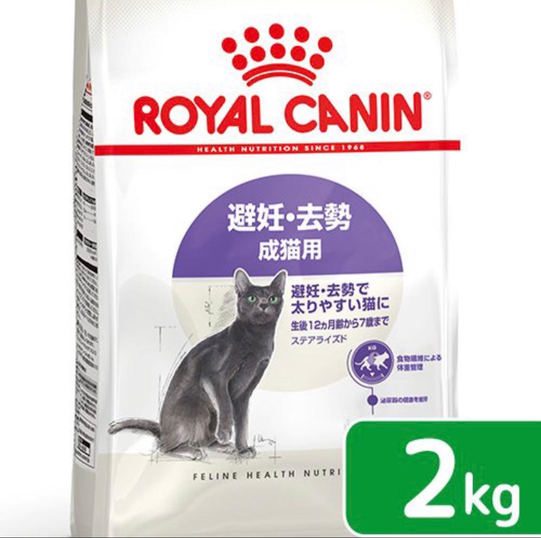  CANIN ドライ・ウェットフードセット 2kg + 85g×60袋
