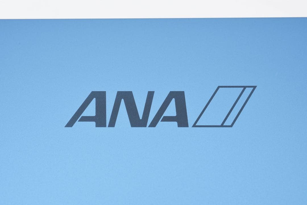 第10 iPad Wi-Fi 256GB ブルー ANA刻印 SFC