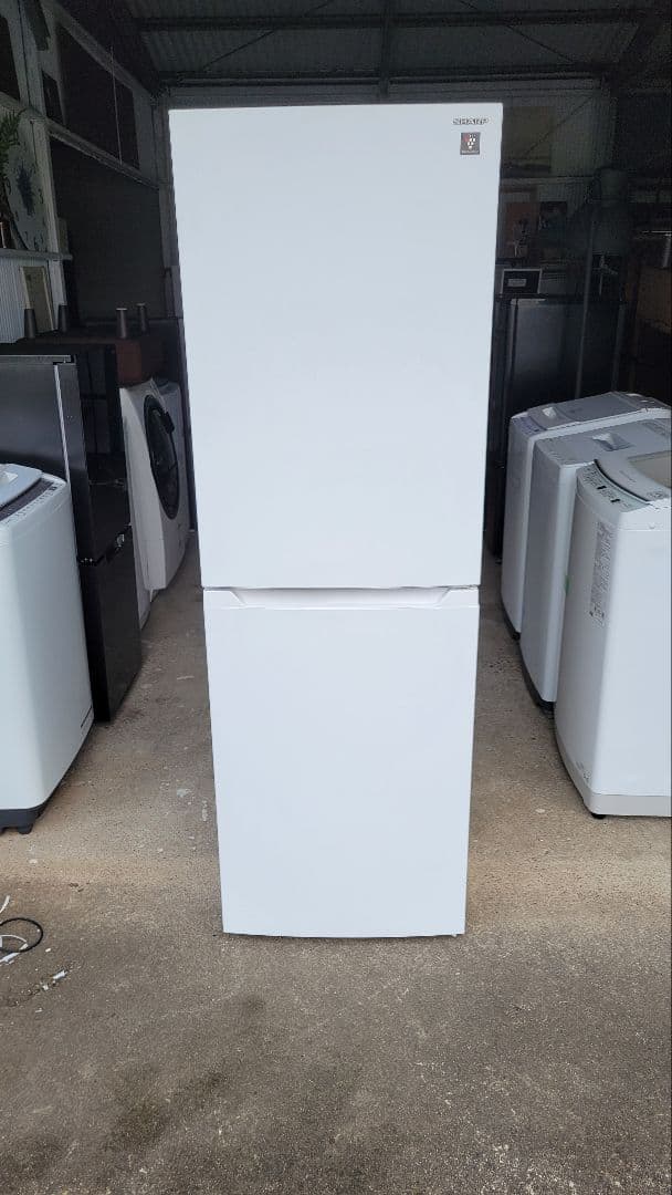 SHARP冷蔵庫✨2023年 230L