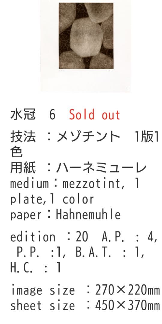 青木野枝　銅版画