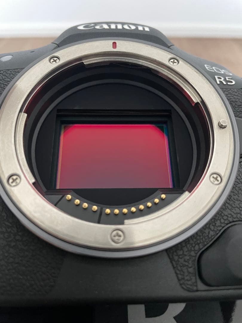 Canon EOS R5 本体と付属品 キャノン R6 ミラーレス 一眼レフ