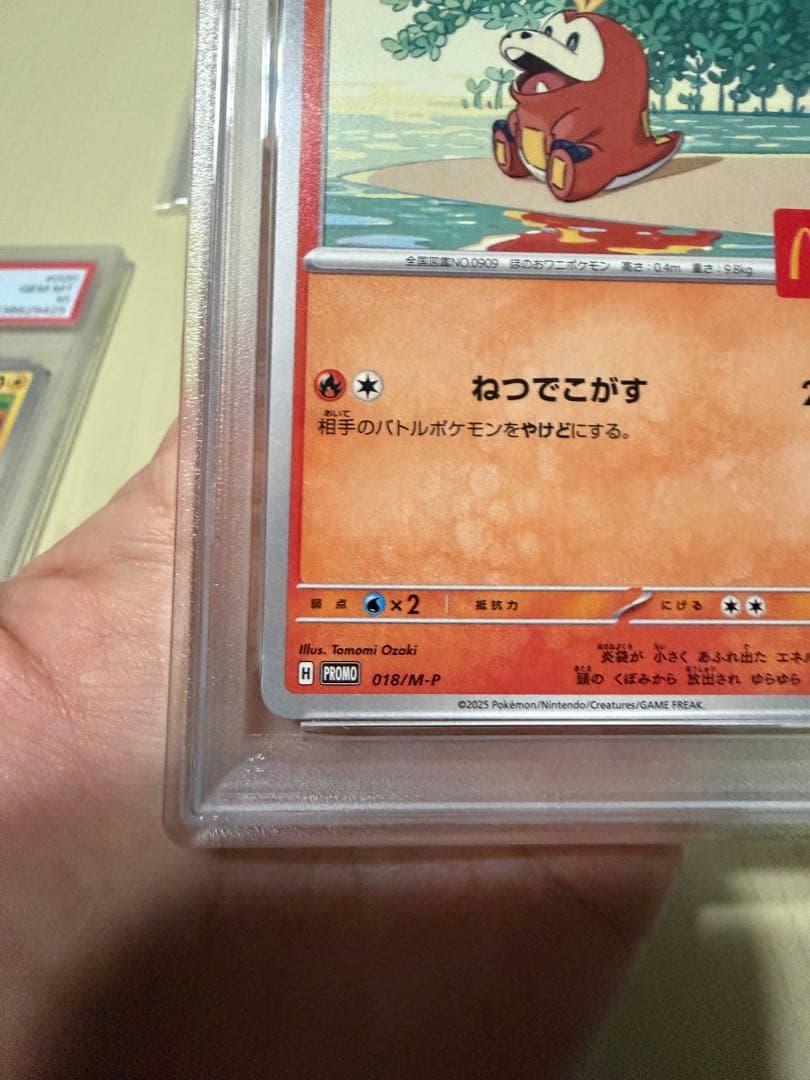 マックプロモピカチュウ　PSA10 ホゲータPSA10 未開封パックセット